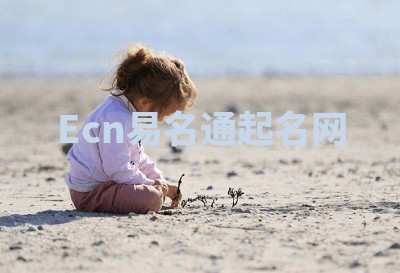 Ecn易名通起名网