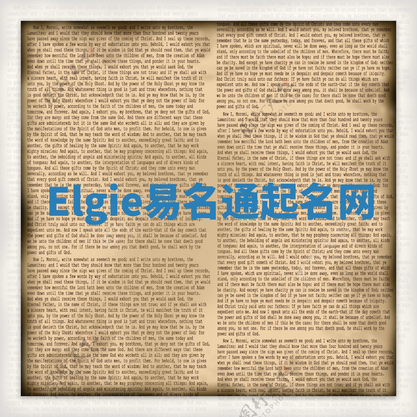 Elgie易名通起名网