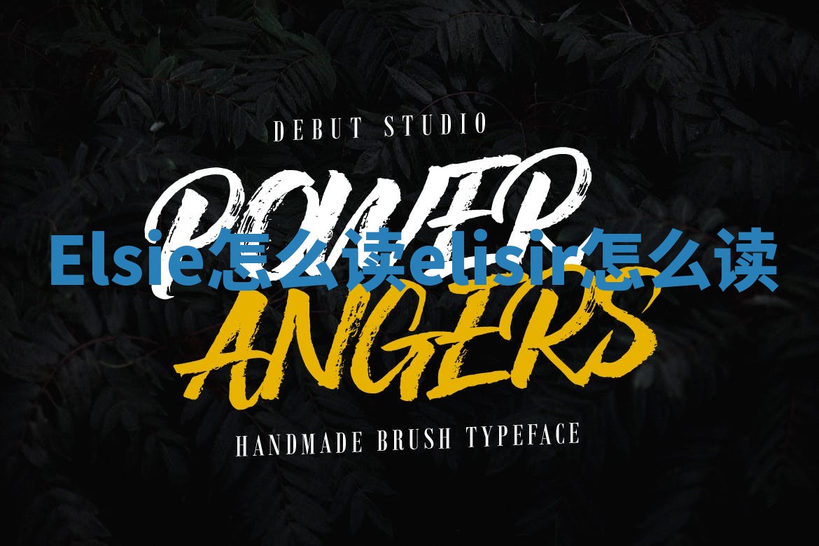 Elsie怎么读_elisir怎么读 Elsie怎么读_elisir怎么读