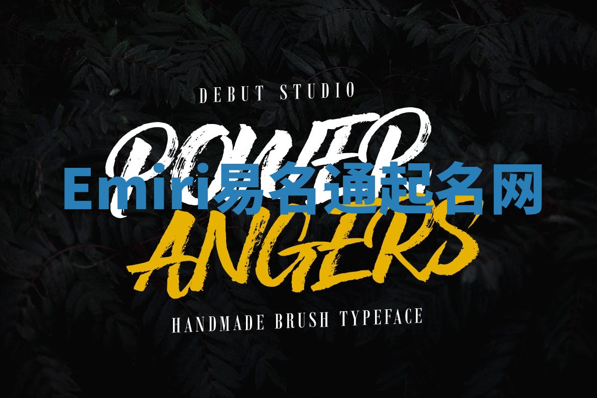 Emiri易名通起名网