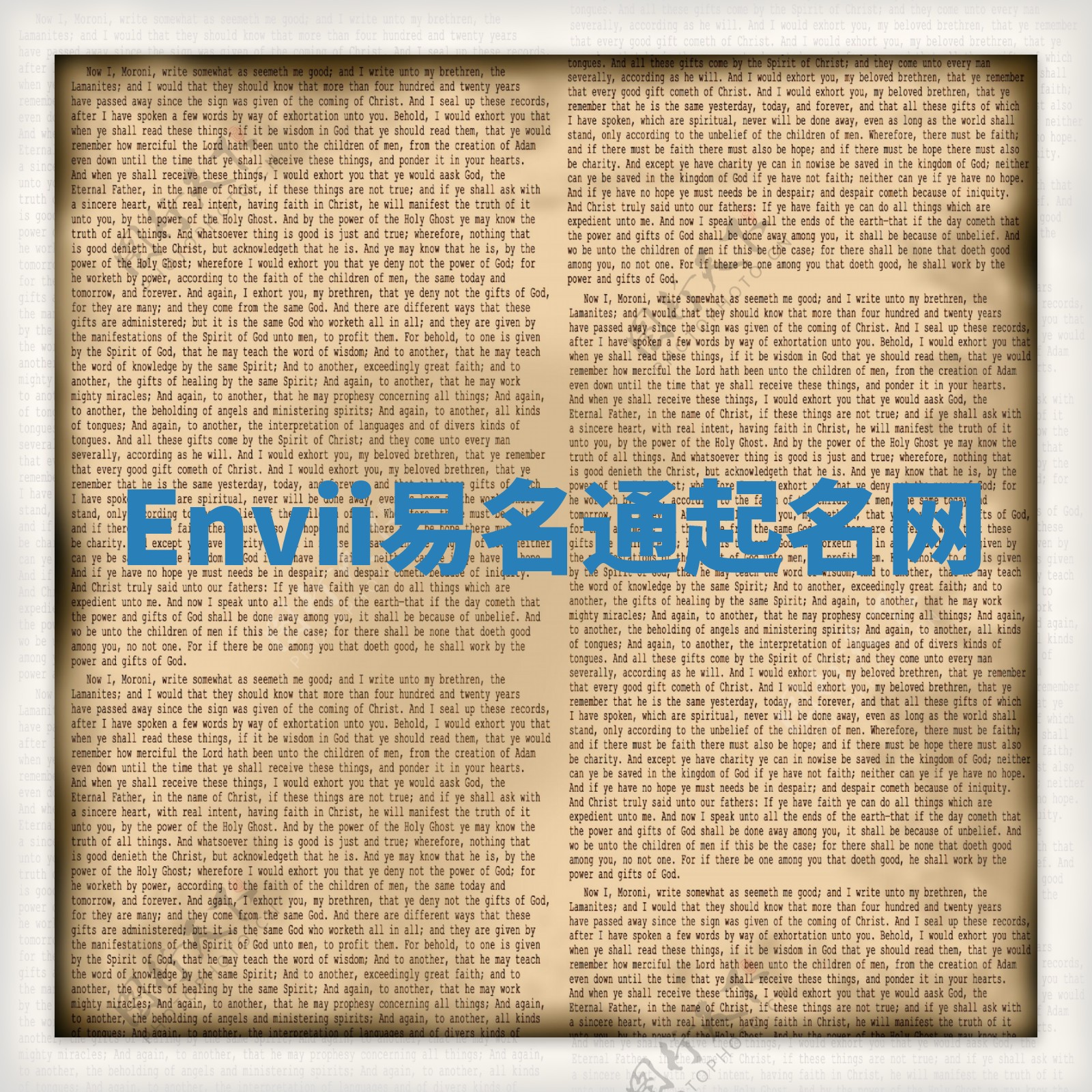 Envii易名通起名网