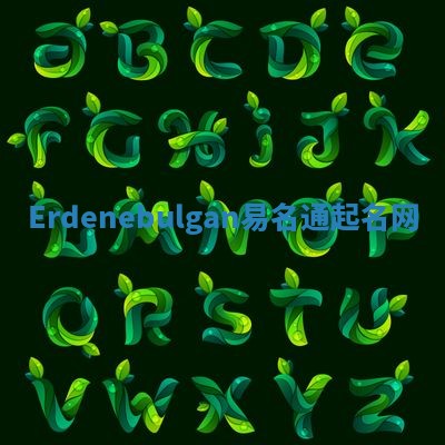 Erdenebulgan易名通起名网 Erdenebulgan易名通起名网