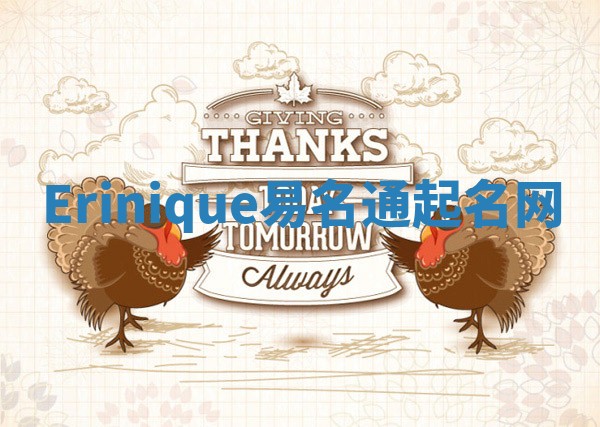 Erinique易名通起名网