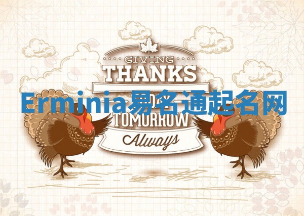 Erminia易名通起名网 Erminia易名通起名网