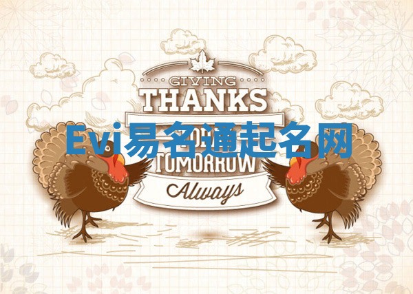 Evi易名通起名网
