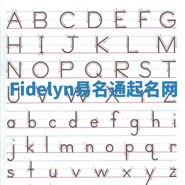 Fidelyn易名通起名网