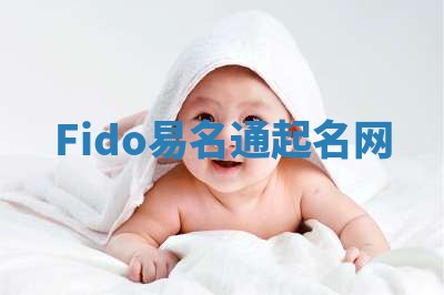 Fido易名通起名网
