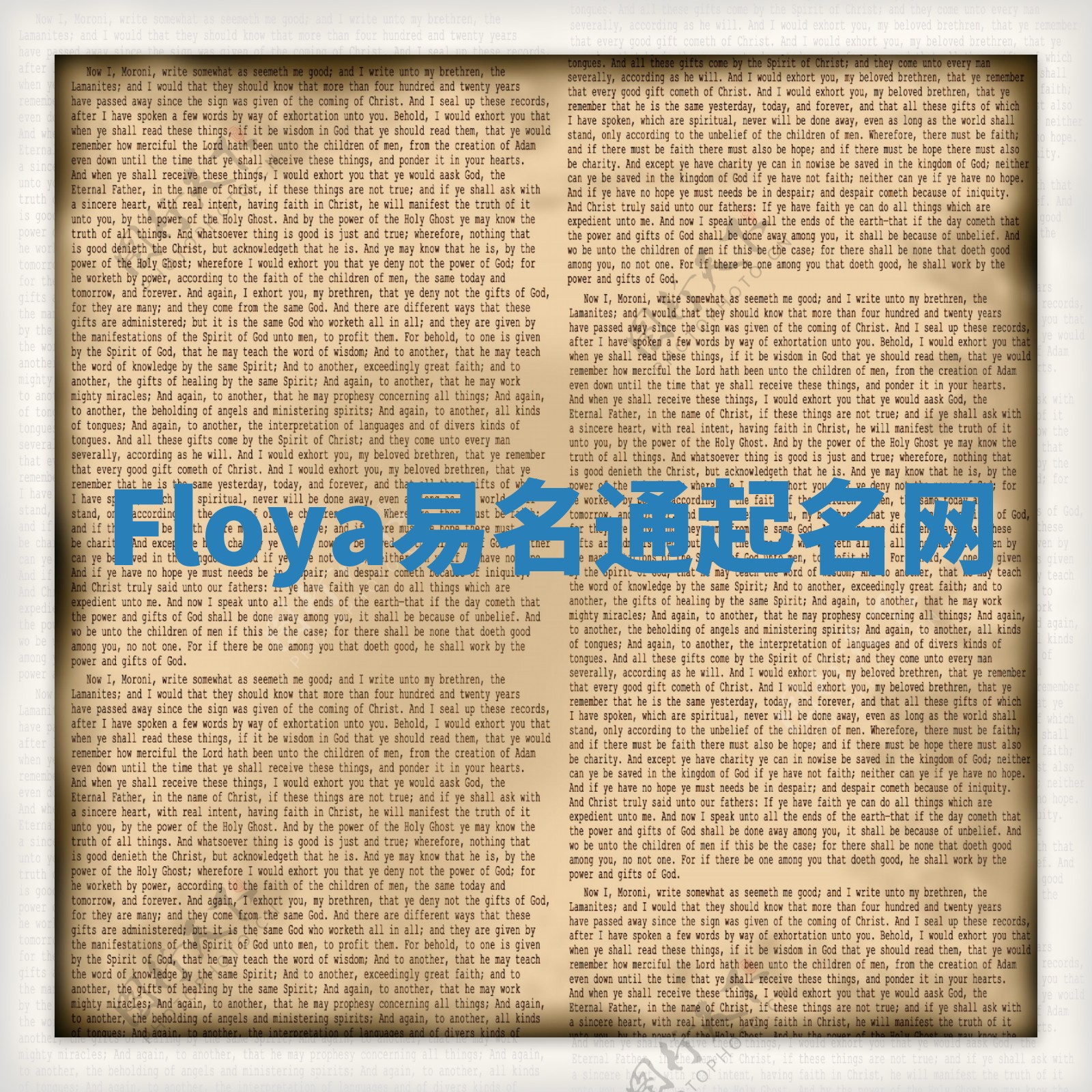 Floya易名通起名网