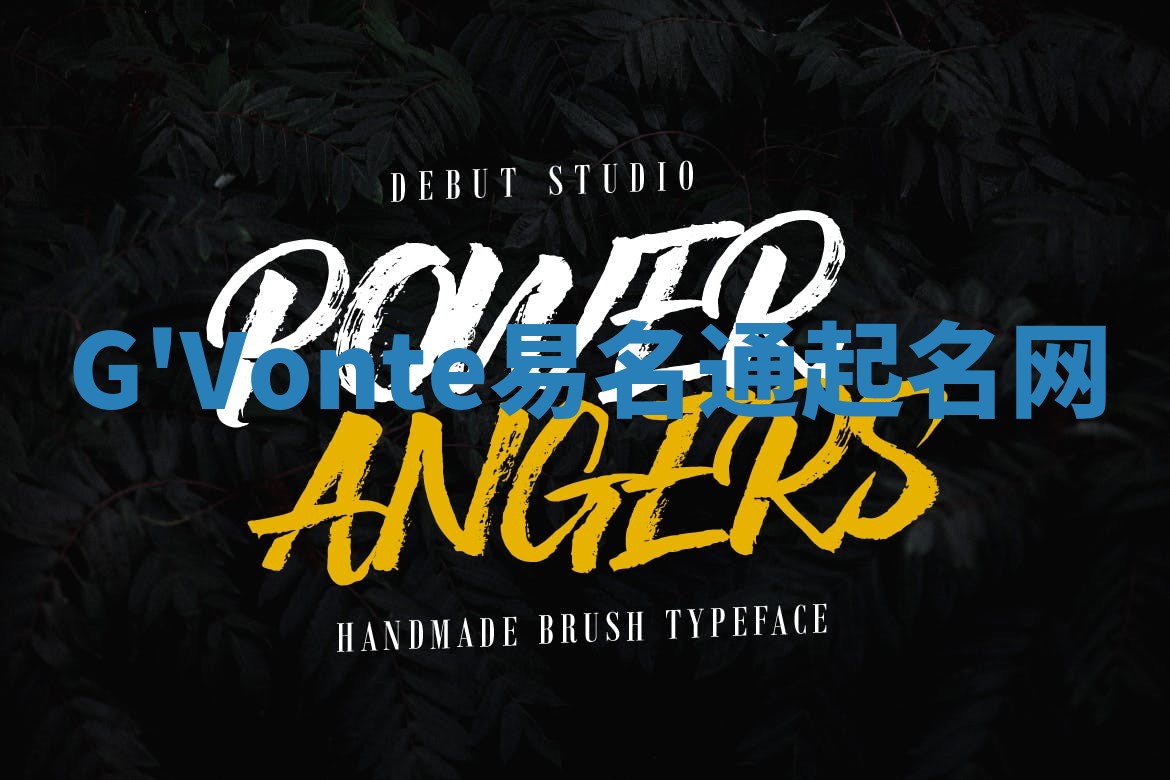 G'Vonte易名通起名网