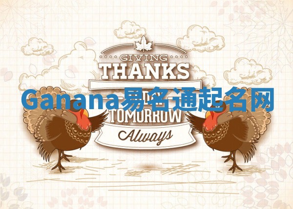 Ganana易名通起名网
