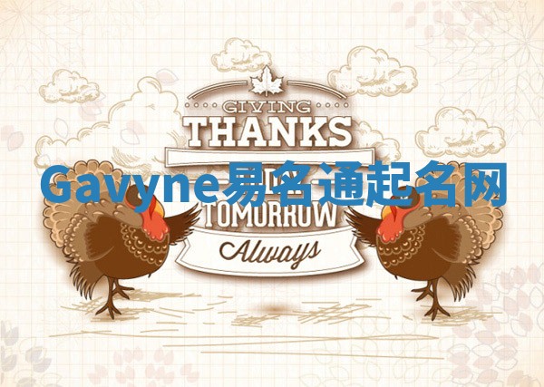 Gavyne易名通起名网