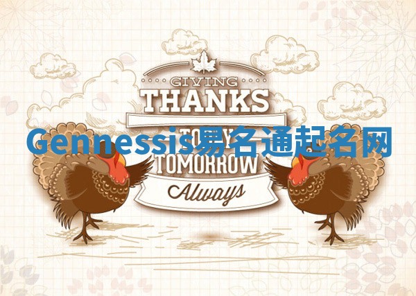 Gennessis易名通起名网 Gennessis易名通起名网