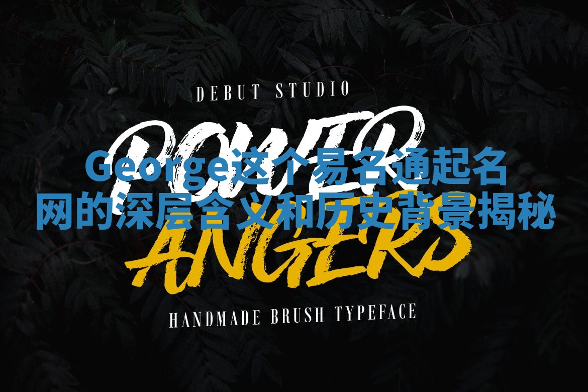 George这个易名通起名网的深层含义和历史背景揭秘