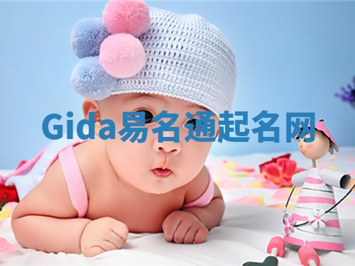 Gida易名通起名网 Gida易名通起名网