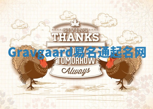 Gravgaard易名通起名网 Gravgaard易名通起名网
