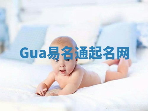 Gua易名通起名网 Gua易名通起名网
