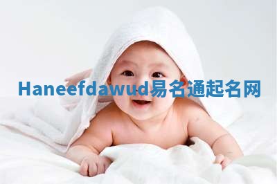 Haneefdawud易名通起名网