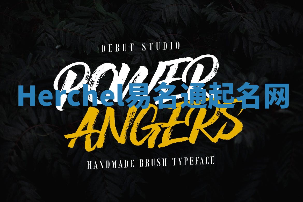 Herchel易名通起名网