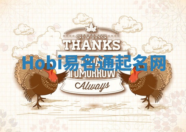 Hobi易名通起名网 Hobi易名通起名网