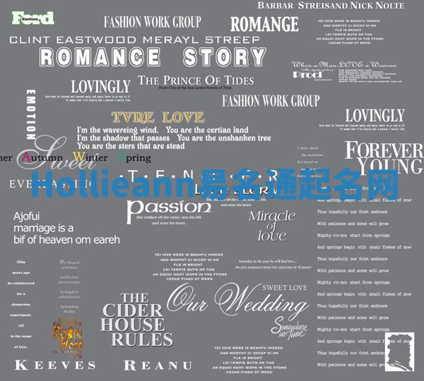 Hollieann易名通起名网 Hollieann易名通起名网