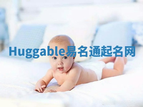 Huggable易名通起名网