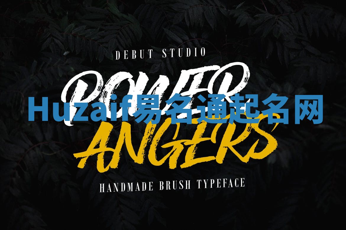 Huzaif易名通起名网