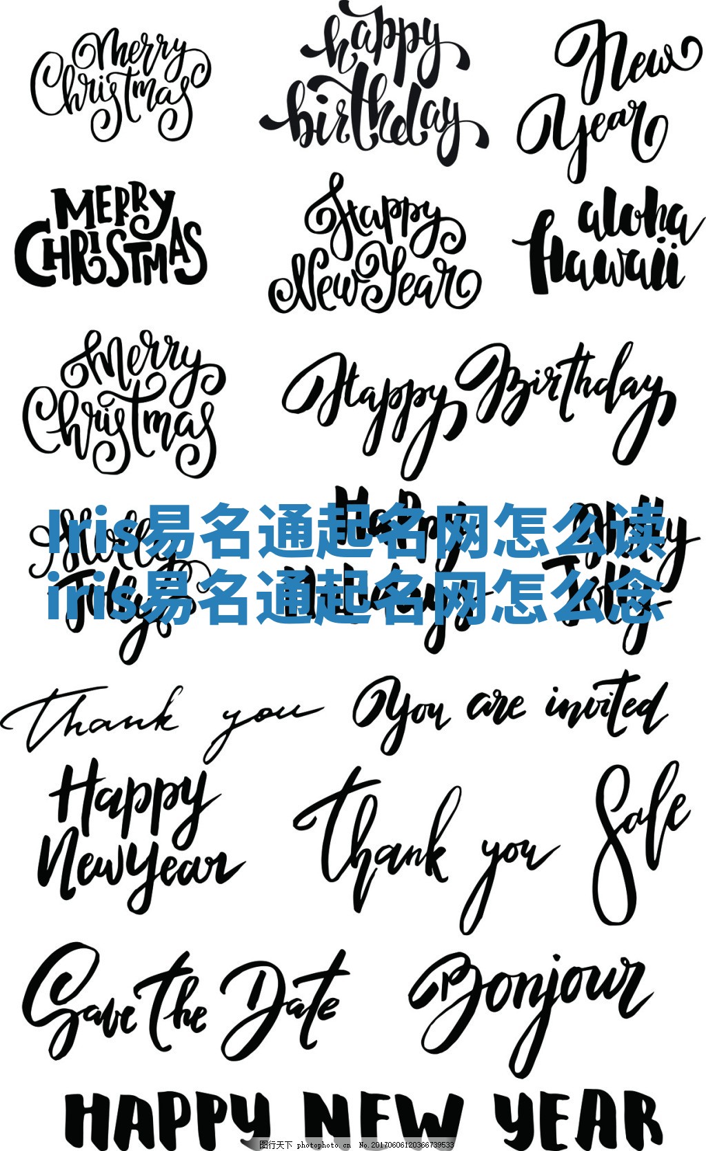 Iris易名通起名网怎么读 iris易名通起名网怎么念