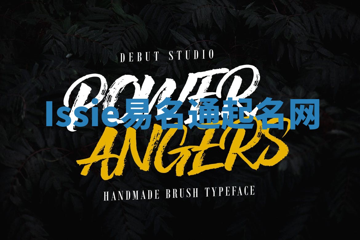 Issie易名通起名网 Issie易名通起名网