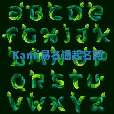 Kami易名通起名网 Kami易名通起名网