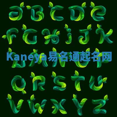 Kaneya易名通起名网