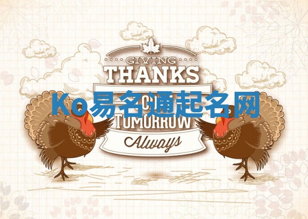 Ko易名通起名网