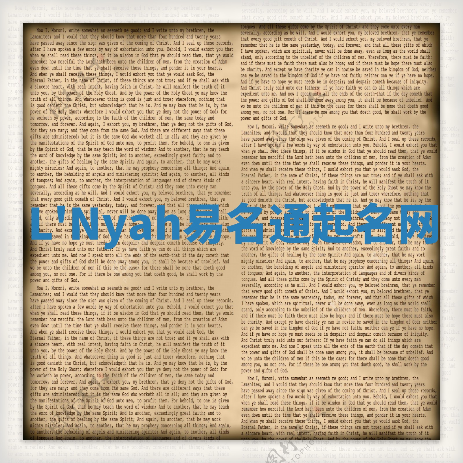 L'Nyah易名通起名网