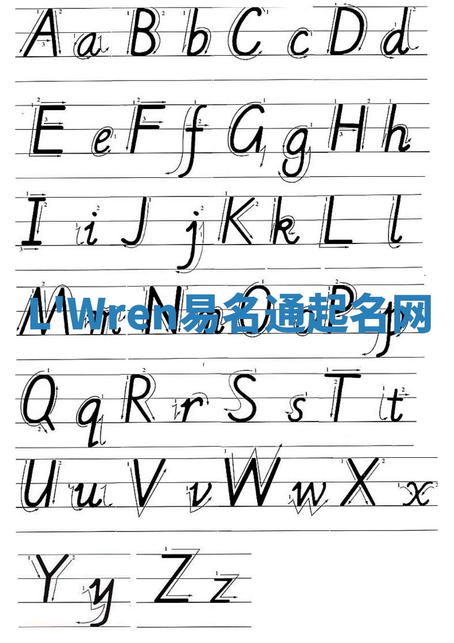 L'Wren易名通起名网