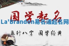 La'Brandon易名通起名网
