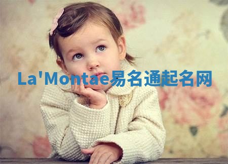 La'Montae易名通起名网
