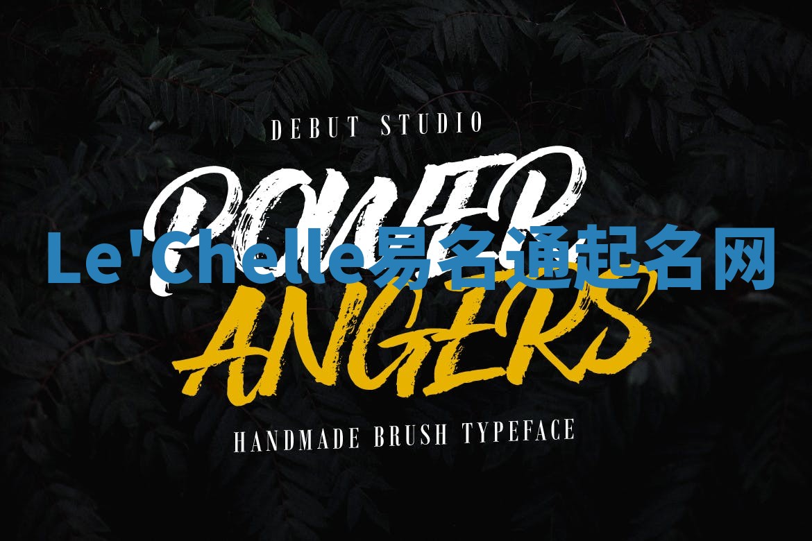 Le'Chelle易名通起名网