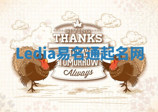Ledia易名通起名网 Ledia易名通起名网