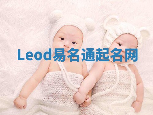 Leod易名通起名网
