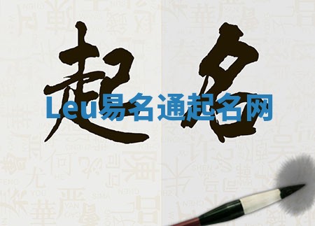 Leu易名通起名网