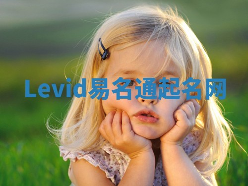 Levid易名通起名网