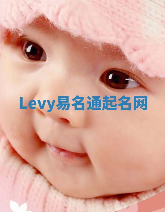 Levy易名通起名网 Levy易名通起名网