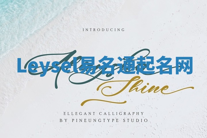 Leysel易名通起名网