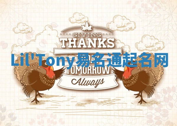 Lil'Tony易名通起名网
