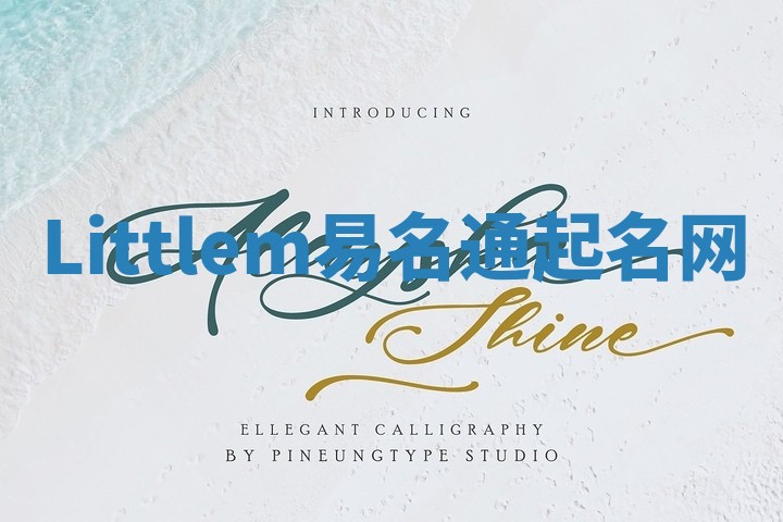 Littlem易名通起名网