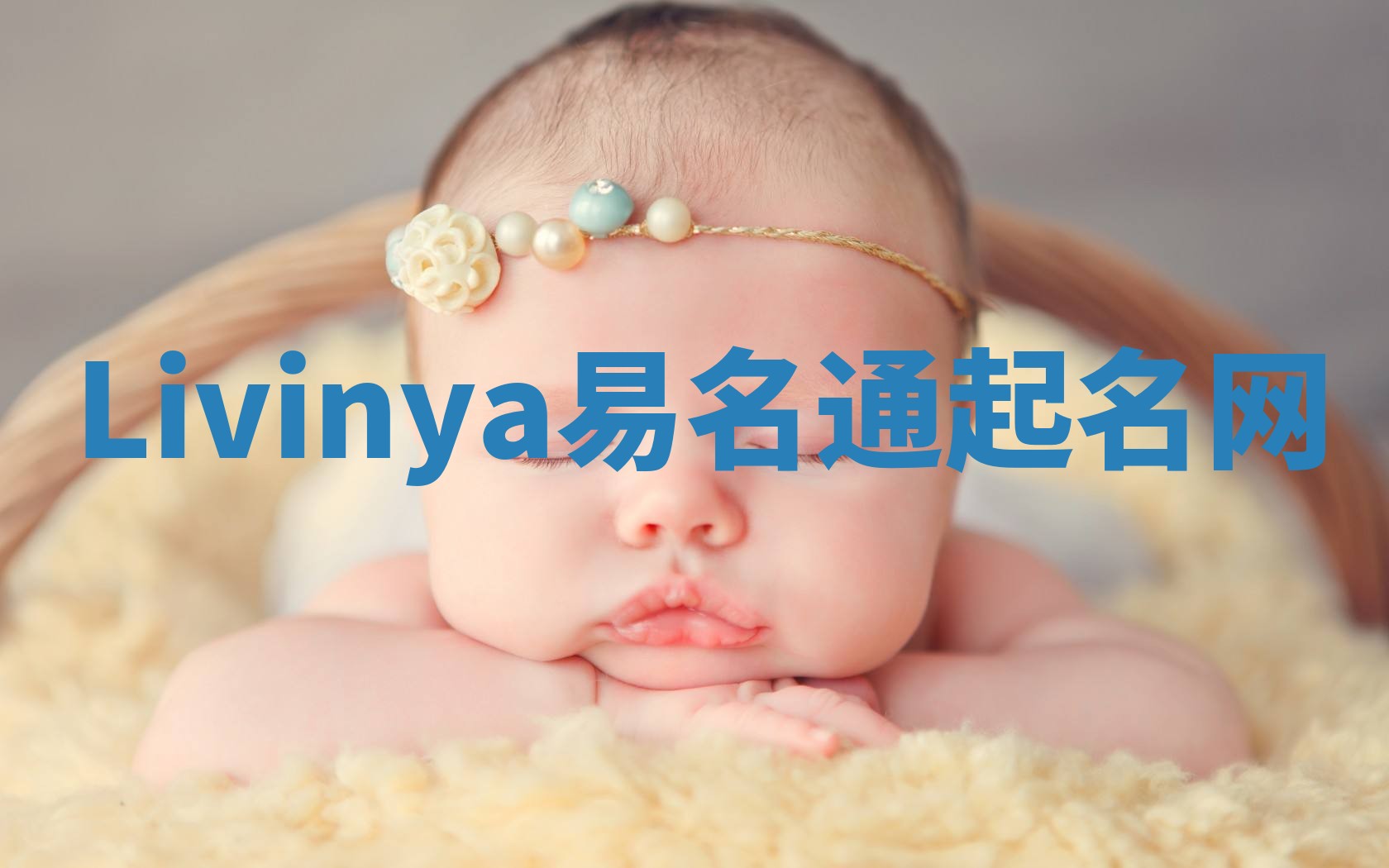 Livinya易名通起名网