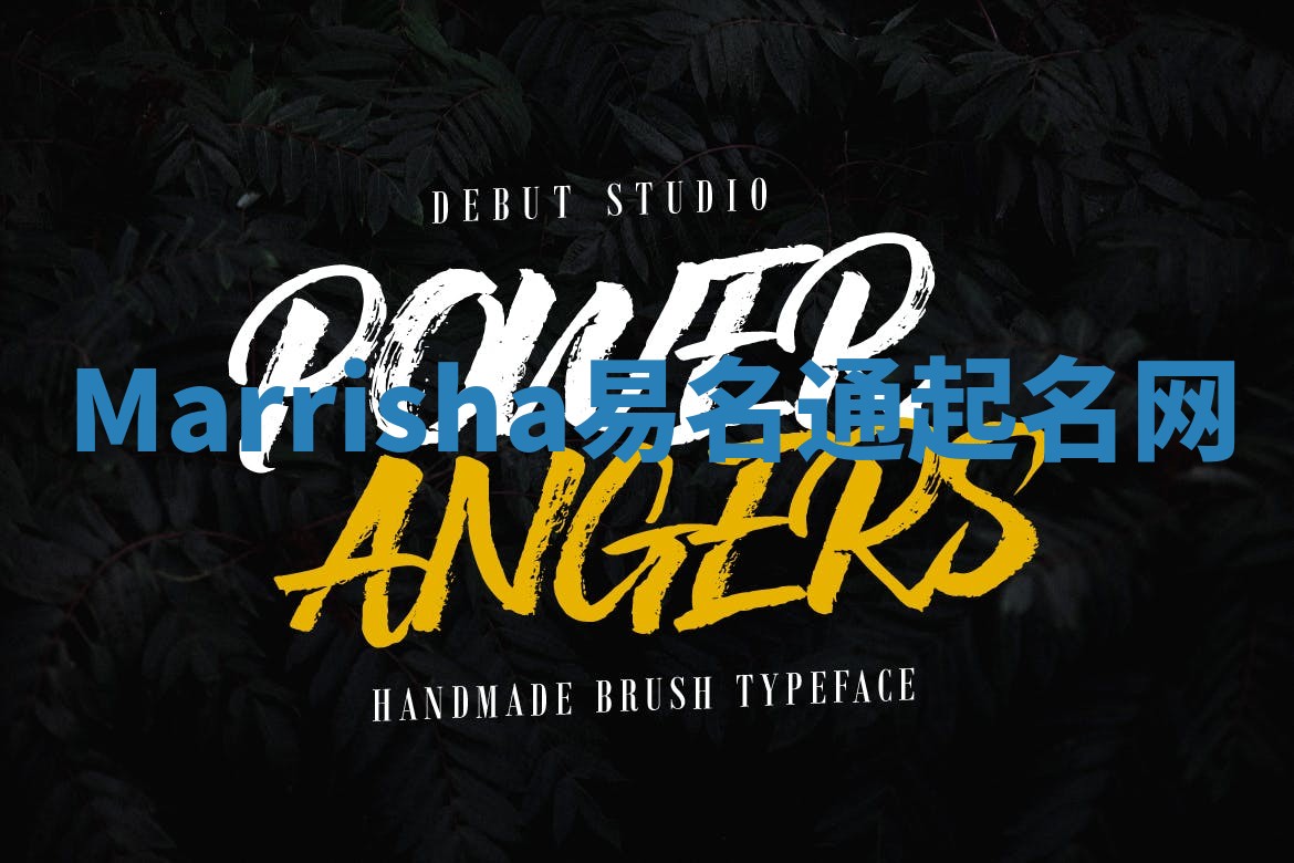 Marrisha易名通起名网 Marrisha易名通起名网