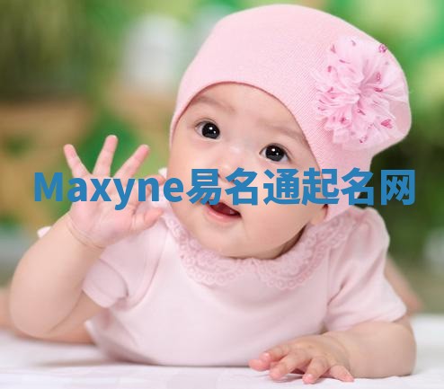 Maxyne易名通起名网