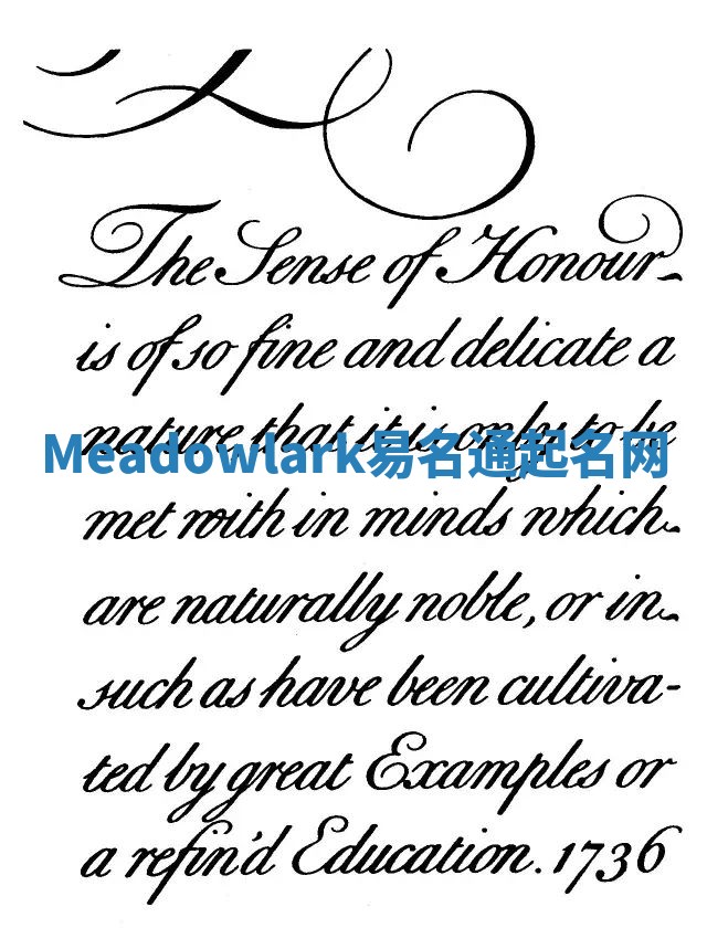 Meadowlark易名通起名网 Meadowlark易名通起名网