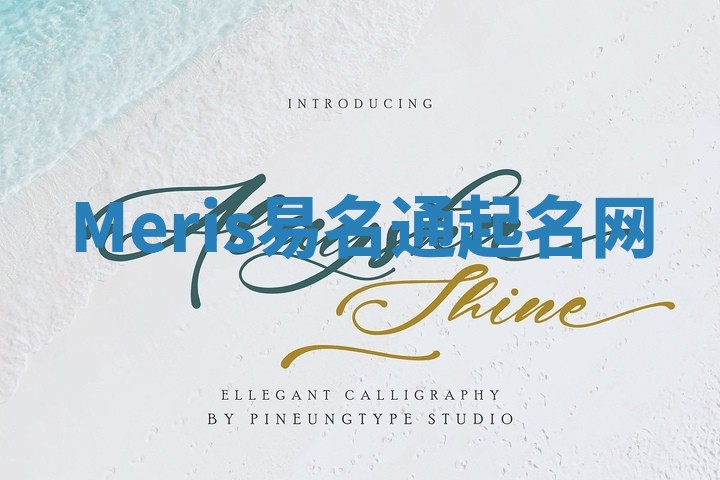 Meris易名通起名网