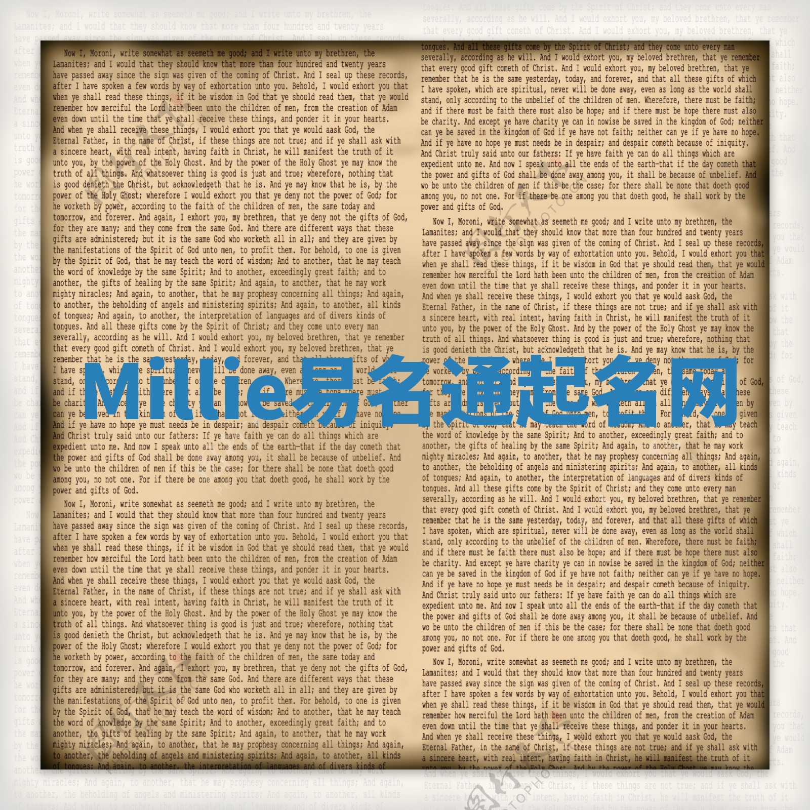 Millie易名通起名网